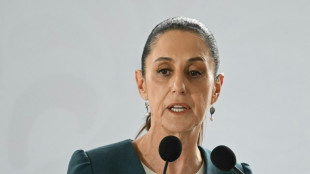 Trump "requiere m&aacute;s informaci&oacute;n" sobre la lucha antidrogas de M&eacute;xico, dice la presidenta