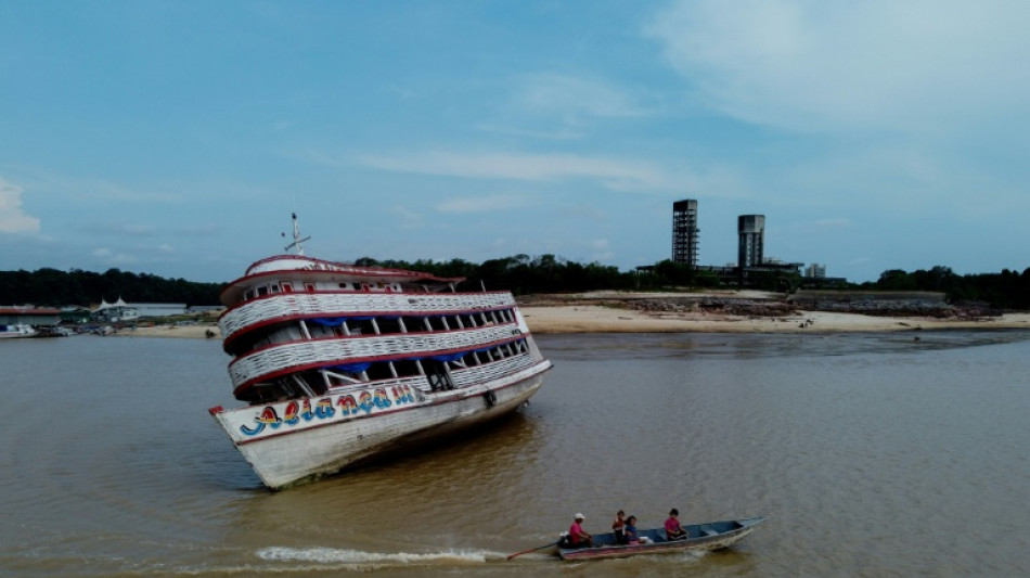 Sequ&iacute;a mata m&aacute;s de 150 delfines en Amazon&iacute;a brasile&ntilde;a, seg&uacute;n investigadores