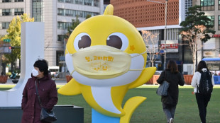 La Corte Suprema surcoreana falla que la pegajosa canci&oacute;n "Baby Shark" no constituye plagio