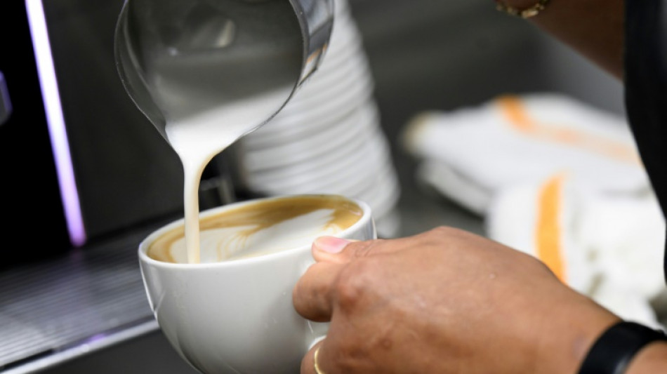 Cinq produits concernés par les droits de douane du 1er août aux Etats-Unis