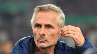 Fr&uuml;he Trainerdiskussion: Schalke-Crashkurs f&uuml;r van Wonderen