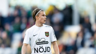 Frankfurt verpflichtet schwedisches Offensivtalent