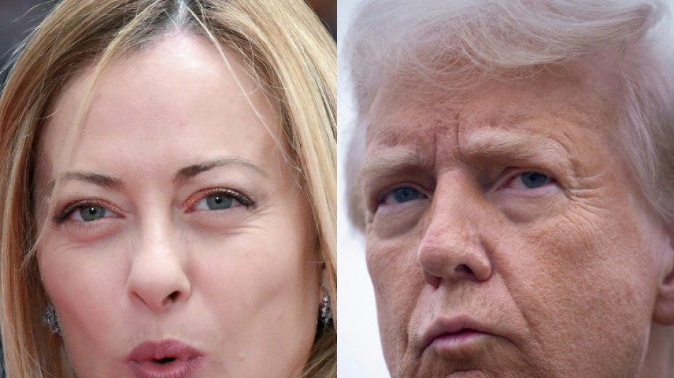 Meloni se re&uacute;ne com Trump para buscar acordo tarif&aacute;rio entre UE e EUA