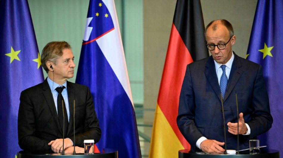 Merz dringt weiter auf Verwendung russischer Vermögen für die Ukraine