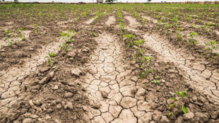 La siccità minaccia l'Europa,colpito soprattutto il Mediterraneo