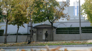 La polic&iacute;a serbia mata a un joven que intent&oacute; atacar la embajada de Israel en Belgrado