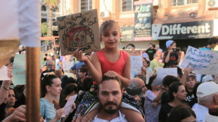 Nach Sturz des Assad-Regimes: Erst wenige Syrer aus Deutschland zur&uuml;ckgekehrt