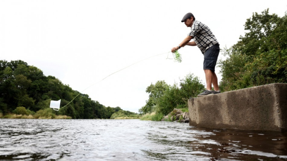 Au Royaume-Uni, des "scientifiques citoyens" se battent pour sauver leur rivi&egrave;re