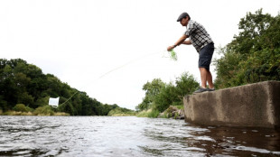 Au Royaume-Uni, des "scientifiques citoyens" se battent pour sauver leur rivi&egrave;re