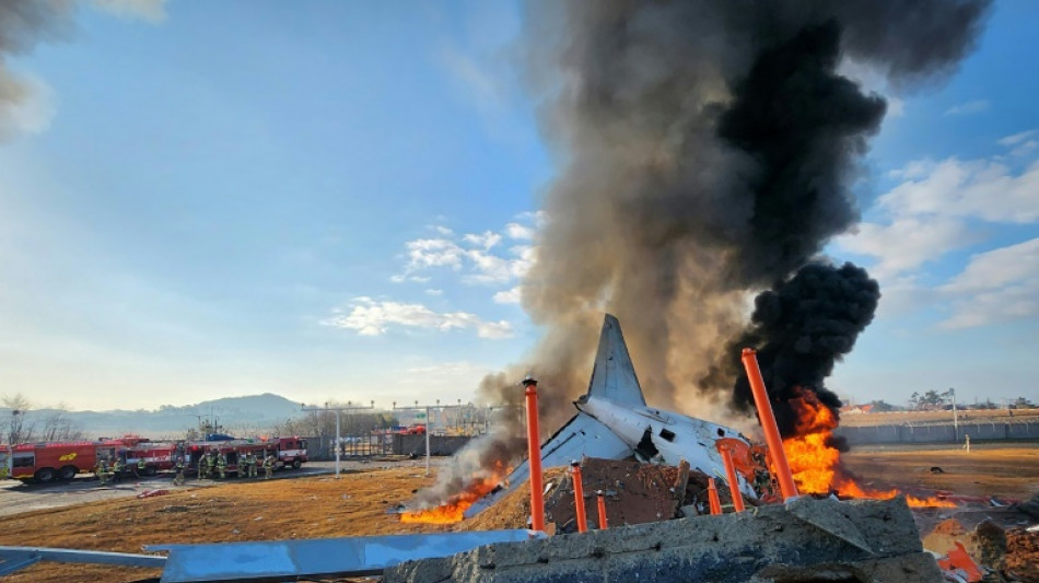 Flugzeug mit 181 Menschen an Bord st&uuml;rzt in S&uuml;dkorea ab - Mindestens 47 Tote