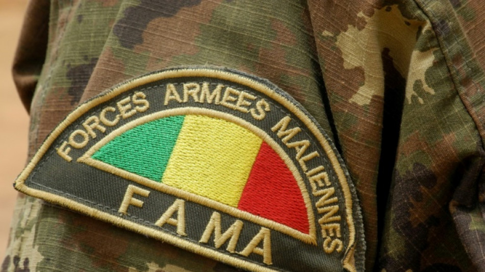 Malis Armee meldet Gro&szlig;einsatz gegen "Terroristen" mit mehr als 200 Toten