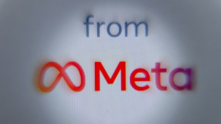 Protection des donn&eacute;es: lourde amende de 265 millions d'euros contre Meta dans l'UE