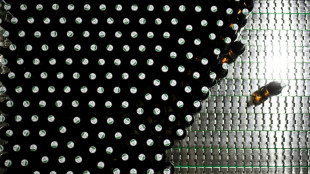 Bierbrauer bef&uuml;rchten Flaschenmangel im Sommer