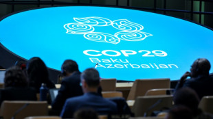 Climat: les pays pauvres se r&eacute;signent &agrave; un accord financier "trop faible"