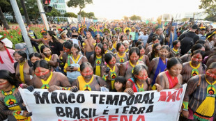 Des autochtones manifestent &agrave; Brasilia, &agrave; la veille d'un proc&egrave;s crucial pour leurs terres