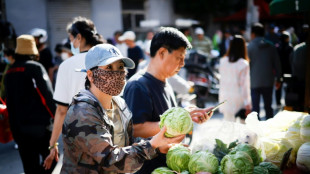 Inflaci&oacute;n estable en mayo en China ante la bajada en los precios de la energ&iacute;a