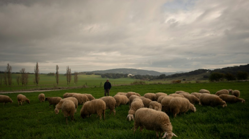 Las amenazas para la econom&iacute;a mundial de la guerra en Ucrania