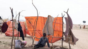 No end to Sudan fighting despite RSF paramilitaries backing truce plan 