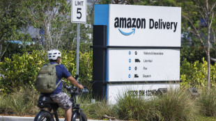'Amazon, mai considerato di esporre costo dazi nei prezzi'