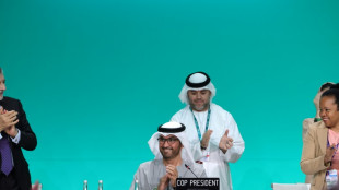 COP28 termina com pedido de 'transi&ccedil;&atilde;o' para o fim dos combust&iacute;veis f&oacute;sseis