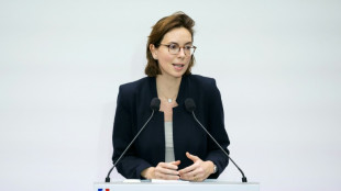 Le gouvernement veut r&eacute;cuperer 15 milliards d'euros sur la fraude en 2026