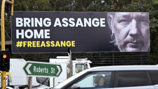 Nueva apelaci&oacute;n de Julian Assange en febrero contra su extradici&oacute;n a Estados Unidos