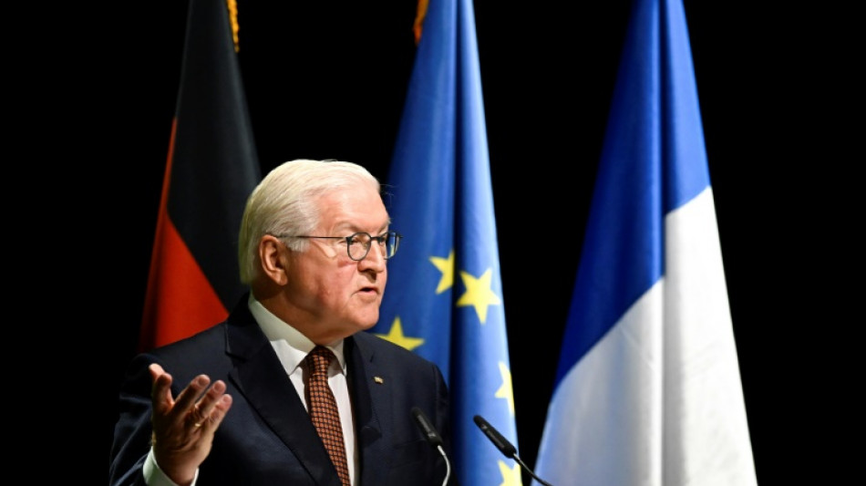 Steinmeier zu Besuch bei Frankreichs Präsident Macron