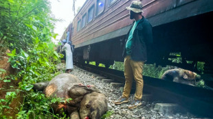 Sechs tote Elefanten bei Zugungl&uuml;ck in Sri Lanka - keine Menschen verletzt