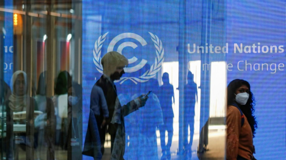 Staatssekret&auml;rin: Deutsche Beitr&auml;ge zur Klimafinanzierung auf "H&ouml;chstniveau"