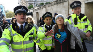 La militante ecologista Greta Thunberg, inculpada por una manifestaci&oacute;n en Londres