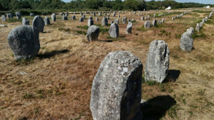 Les m&eacute;galithes de Carnac, premier site breton class&eacute; par l'Unesco au patrimoine mondial