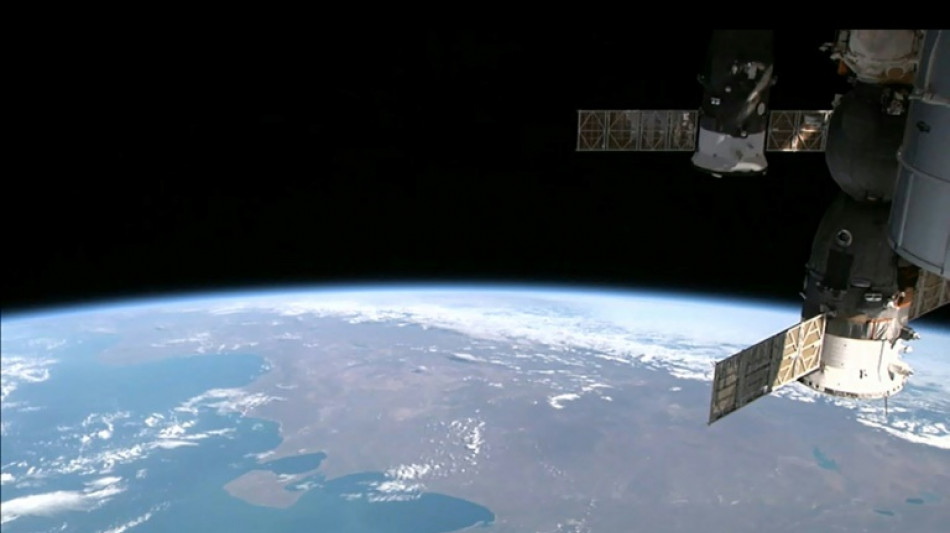 Embri&otilde;es de ratos crescem no espa&ccedil;o pela primeira vez, segundo estudo japon&ecirc;s