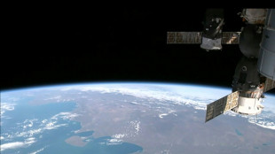 Embriones de rat&oacute;n crecen en el espacio por primera vez, seg&uacute;n estudio japon&eacute;s