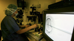 Australie: une clinique de f&eacute;condation in-vitro admet s'&ecirc;tre tromp&eacute;e d'embryon