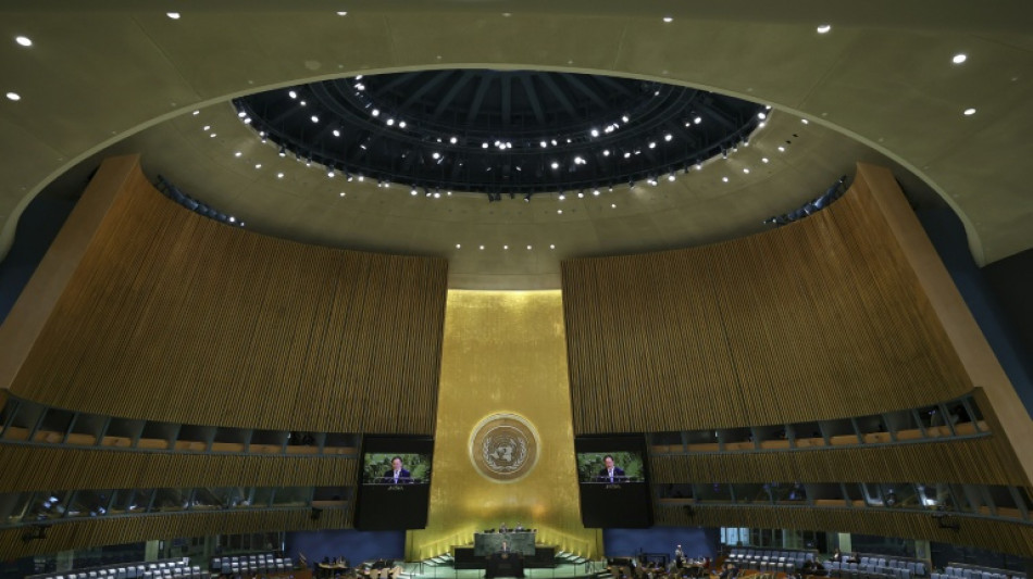 Droits de l'Homme: le travail de l'ONU confronté à une "menace existentielle", alerte une ONG