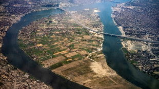 Au Caire, une &icirc;le vent debout contre sa transformation en "Manhattan"