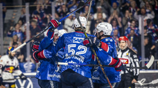 DEL: Mannheim erster Finalist - Berlin wieder vorne