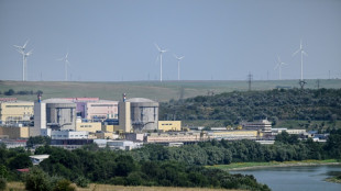 Donau-Niedrigwasser: Rum&auml;nien f&auml;hrt einziges Akw des Landes herunter