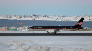 Minerais, passage strat&eacute;gique : pourquoi le Groenland est dans le viseur de Trump