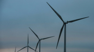 L'ann&eacute;e 2021 d&eacute;cevante pour les &eacute;nergies renouvelables dans le monde, distanc&eacute;es par les fossiles