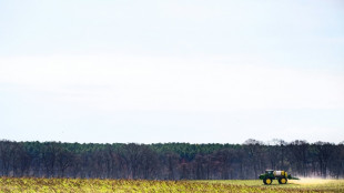 Trump aliviar&aacute; la cruzada migratoria para dar mano de obra a agricultores y hosteleros