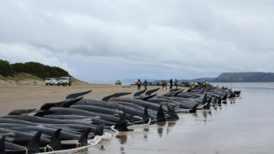 En Australie, les derniers c&eacute;tac&eacute;s &eacute;chou&eacute;s sur une plage en cours d'&eacute;vacuation