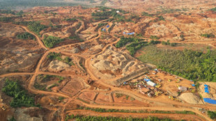 Satelliten-Analyse: Riesige Waldfl&auml;chen in Indonesien f&uuml;r den Bergbau gerordet