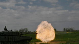 Ukraine, US say minerals deal ready as Kyiv hails sharing