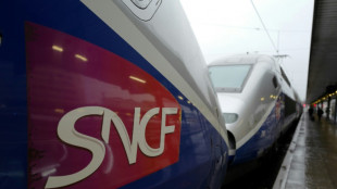 SNCF: un influent collectif de contr&ocirc;leurs soutient la gr&egrave;ve des 9 au 11 mai