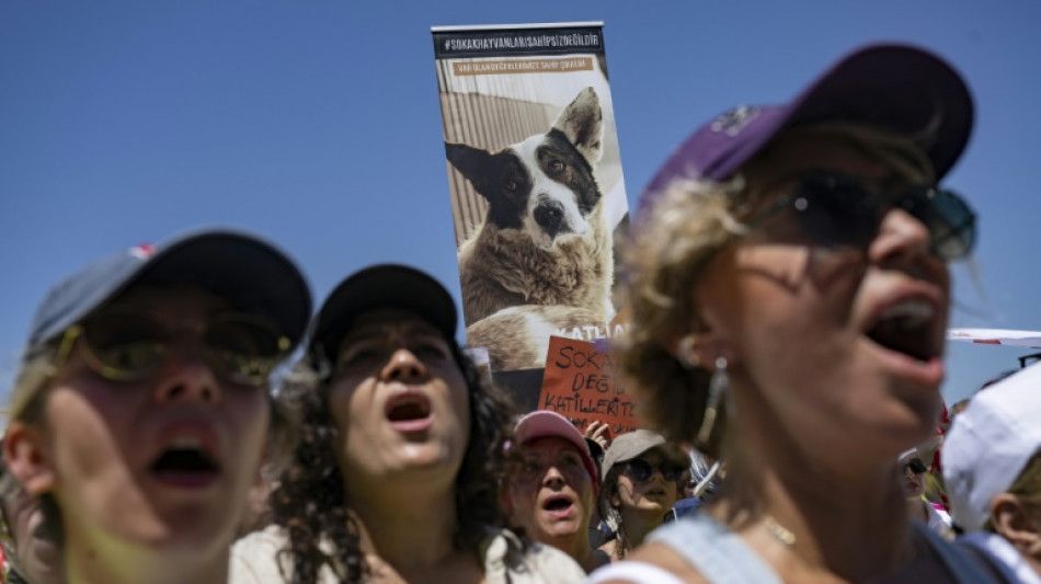 Brigitte Bardot macht sich bei Erdogan f&uuml;r Stra&szlig;enhunde stark