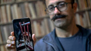 Ils ont fui "l'enfer" en Iran et regardent la guerre depuis l'exil