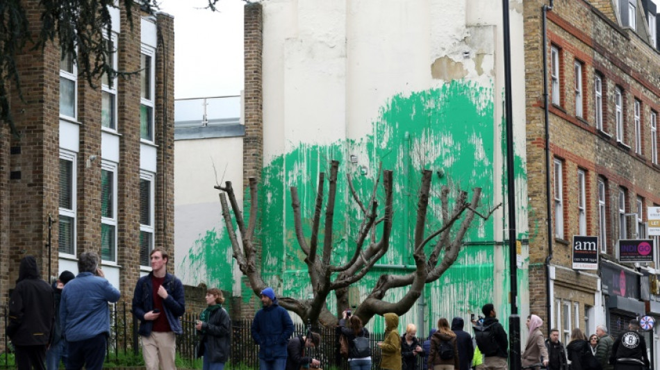 La &uacute;ltima obra de Banksy en Londres, protegida tras resultar da&ntilde;ada