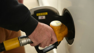 Habeck: Bundeskartellamt soll hohe Spritpreise &uuml;berpr&uuml;fen