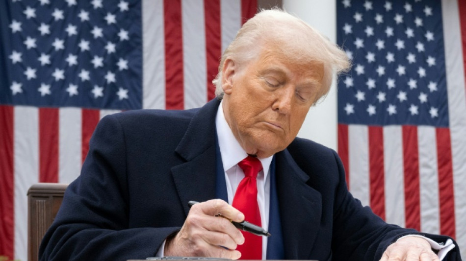 Stocks tank, havens rally as Trump tariffs fan trade war